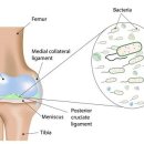 광혜병원 이미지