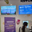 가리왕산역(케이블카 정상) | 강원도 정선 가리왕산 케이블카 - 숙암역 정상까지, 탑승 요금