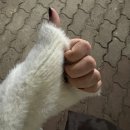 존피트니스 | 봉선동헬스장 PT 여성 웨이트존이 있는 NS휘트니스 후기