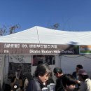 커피콩 | 2025 제3회 세계커피콩축제 다녀온 후기