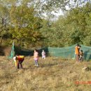 다현유치원 이미지