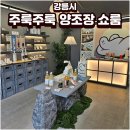 중앙4길 | 주룩주룩 양조장 쇼룸 강릉 중앙시장 막걸리 내돈내산 후기