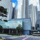 소노캄 고양 이미지