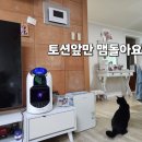 소비요정 최혜영의 내돈내산 후기 토션플러스 집에도 최혜영뷰티샵에도 엄마아빠 집에도 총6대