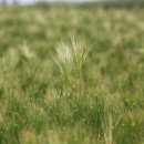 선비로2L 이미지