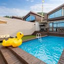 엘시아 애견풀빌라 이미지