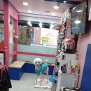 스머프동물병원 이미지