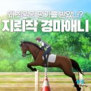 주-001-군청앞2 | 군청의 팡파르 작화부터 연출까지 장점을 찾을 수 없는 고문