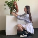 메리로우 이미지