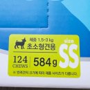 웰메이드덴탈 네이버블로그