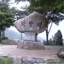 대덕화 이미지
