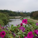 명문특장 이미지