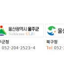 주정차단속-051 이미지