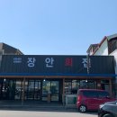 장안황토 | 강릉 맛집 물회 비교 장안횟집 황토물회 내돈내산