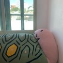 공일토스트 이미지
