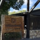 야생사슴농장 | [뉴질랜드] 크라이스트처치 윌로뱅크 야생동물보호지역 vs 퀸스타운 디어파트하이츠