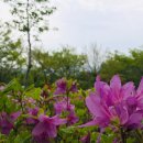 정머리방 | ■ 울산 마골산, 동축산 산행(옥류천이야기길)