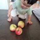 바티하우스 이미지