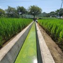 금강LR