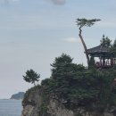 행정사 다인 이미지