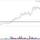 대호양행 이미지