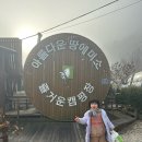 미소농장 | [연천 캠핑]땅에미소캠핑장, 미소하우스·사이트·키즈존까지 솔직후기