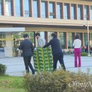 샤인플랜트