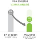 아임 인셀덤