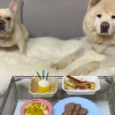 바브로(babro) 이미지