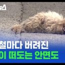 변호사김동훈법률사무소 이미지