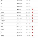 해옴동물병원 이미지