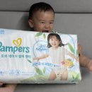 ㈜피드아이 | [팸퍼스] - 팸퍼스 2026 터치 오브 네이처 썸머 팬티 오가닉 순면 여름 기저귀 추천/돌아기 남아 여름...