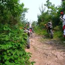 조야초등 이미지