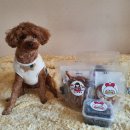 멍이부뚜막 이미지