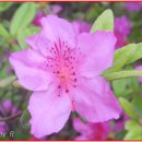 부천종합운동장 이미지