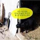 시골냉장고 이미지