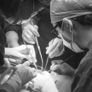 온치과병원 이미지