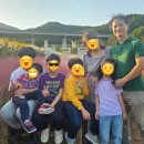 비선채한의원 이미지