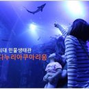 다누리센터 아쿠아리움 이미지