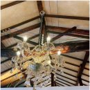 스테이놀 이미지