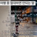 엄마랑 여행가면 많이 툴툴거리심? 이미지