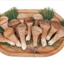 고산참송이버섯 이미지