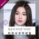 아이린아트