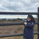 애월체육공원 체육관 이미지