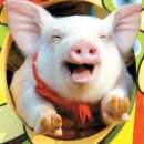 아기랑 겨울여행추천｜가평 마이다스호텔 2박3일 (1) 호텔&amp;트니트니정보, 근처맛집(델씨엘로)