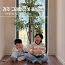 경주 그레이선셋 풀빌라 | 경주 아기랑 숙소 추천 그레이선셋 풀빌라