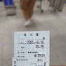 나고야 태교여행 지브리 파크 후기 1편(교통부터 대창고 웨이팅 총정리)