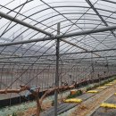 새순2농장 이미지