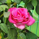 외서농장 이미지