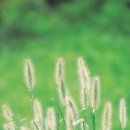 맑은눈사랑안경 이미지